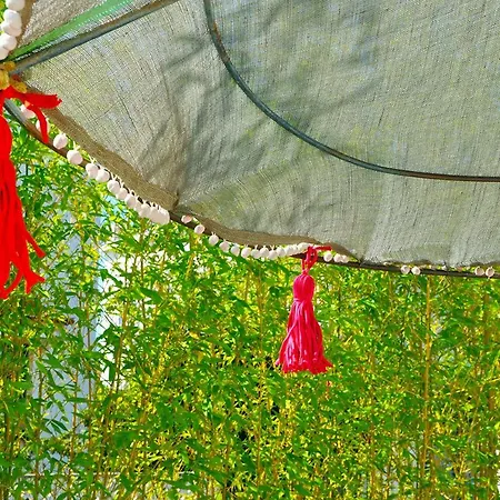 Ferienhaus Aloha House H *